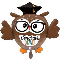 72 cm-es Ballagó bagoly fólia lufi